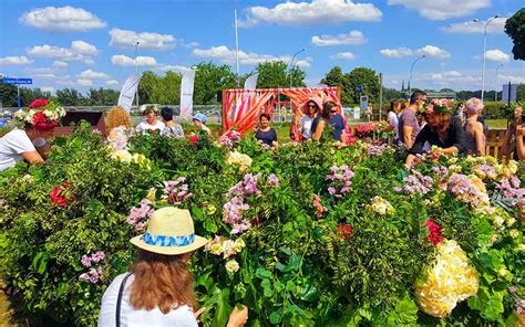 Najlepsze Wydarzenia W Weekend Czerwca Wianki Nad Wis Piknik