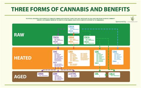 Marijuana Benefits Explained With Latest Research In 2021 - leafipedia.net