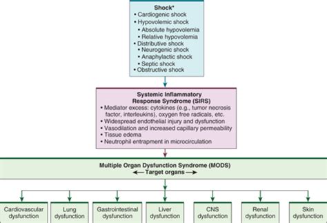 Systemic Inflammatory Response Syndrome Sirs And Multiple Organ Dysfunction Syndrome Mods