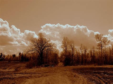 Skies Delight Photograph By Katina Cote Fine Art America