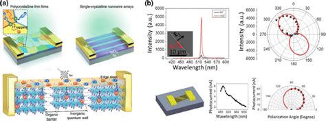 Ultrasensitive And Polarized Light Detection Of D Perovskite