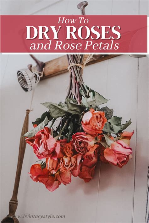 How To Dry Roses And Rose Petals B Vintage Style