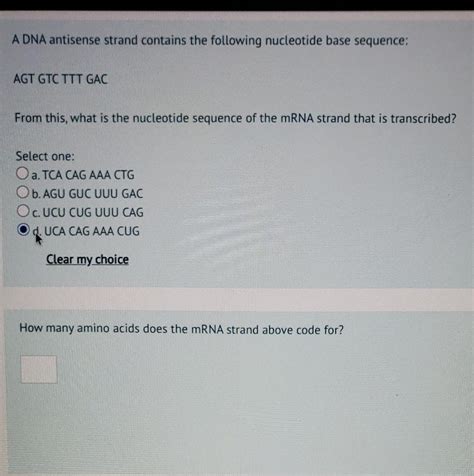 Solved A DNA antisense strand contains the following | Chegg.com