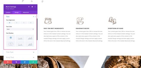 The Divi Blurb Module Elegant Themes Documentation