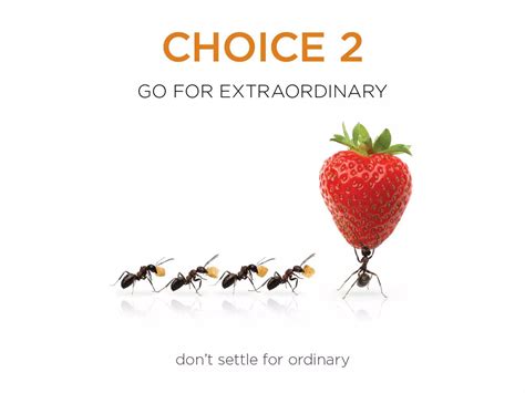 The 5 Choices Achieving Extraordinary Productivit 1