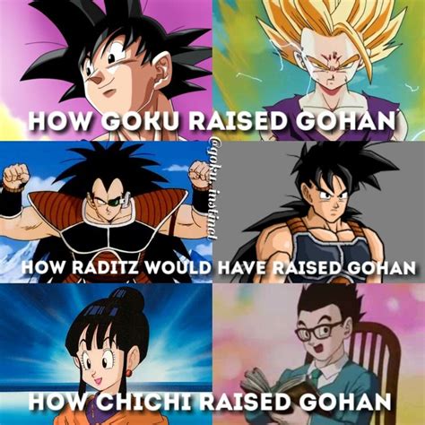 Chichi Turned Gohan Into An Absolute Nerd Dragon Z Dragon Balls