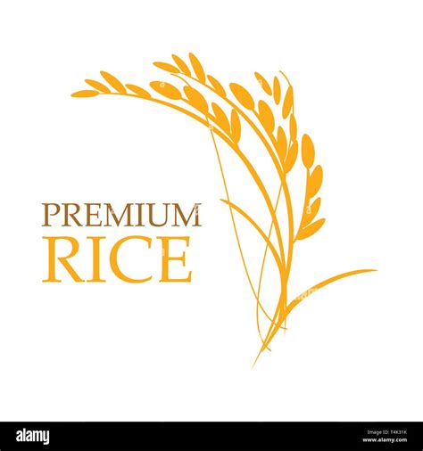 Orange paddy rice premium organic natural product banner logo vector ...