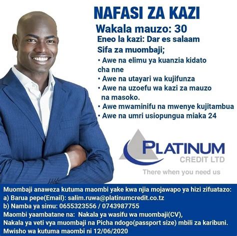 30 New Job Opportunities At Platinum Credit Limited Tanzania Sales