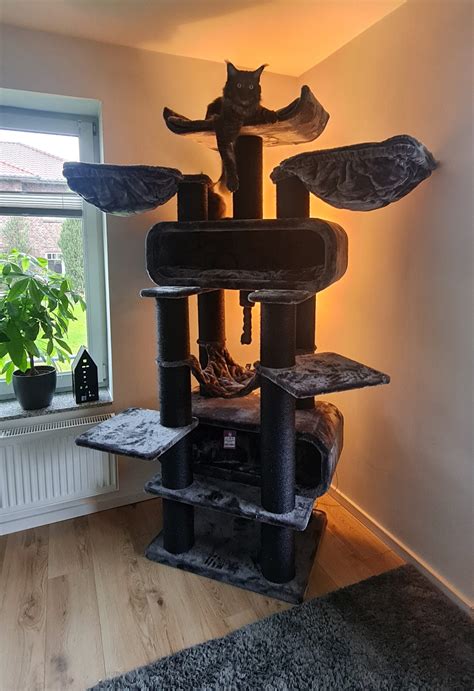 Cat tree Route 210 - Off White - 15cm Post - XXL - for multiple cats