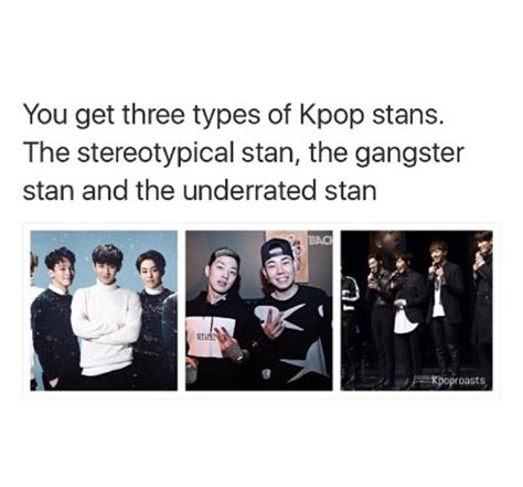 Three Types Of Kpop Stans Kpop Memes Ecard Meme