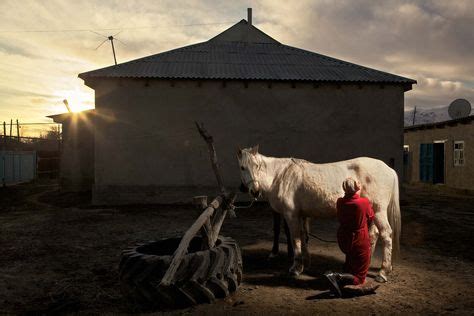 26 Botswana #1 Cattle Breeds ideas | breeds, cattle, botswana