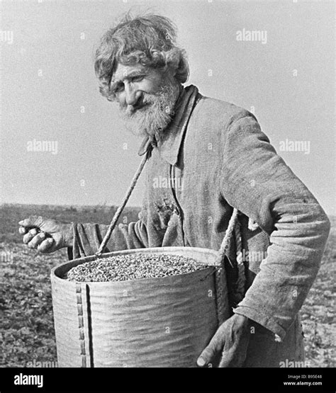 Russian Peasant Scattering The Field With Seeds Prior To The Bolshevik