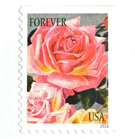 Ten Unused Pink Rose Forever Postage Stamps Vintage Botanical Art