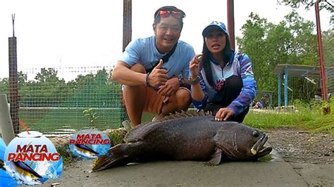 Ikan Kerapu Di Tambak Air Asin Sama Susahnya Seperti Di Laut Mata