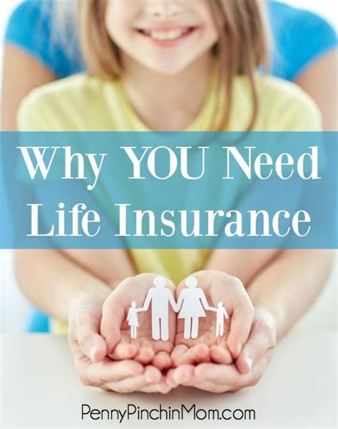 Homeowners Insurance What You Need And How Much Artofit