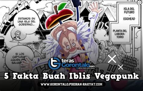 Fakta Nomi Nomi No Mi Buah Iblis Yang Dimakan Vegapuk Di One Piece