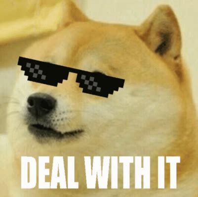 DEAL WITH IT DOG MEME