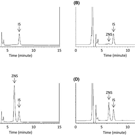 Chromatograms Of A Blank Serum B Serum Spiked With Lloq At Download Scientific Diagram