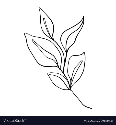 Minimalist Plant Single Continuous Art Leaf Vector Image