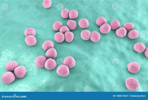 Veillonella Bacteria Gram Negative Anaerobic Cocci Stock Illustration