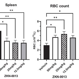 Long Term Survival And Decreased Anemic Phenotype In APCmin Mice