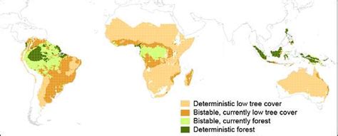 Savannas Forests In A Battle Of The Biomes Princeton Researchers Find