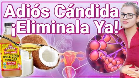 Elimina La C Ndida En Semana C Mo Eliminar La Candidiasis Y Hacer