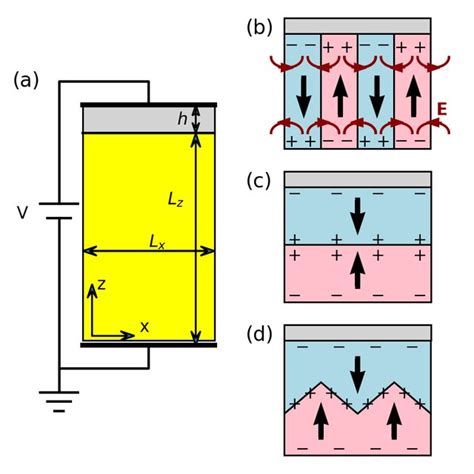 Typical Ferroelectric Device And Representative Domain Structures A