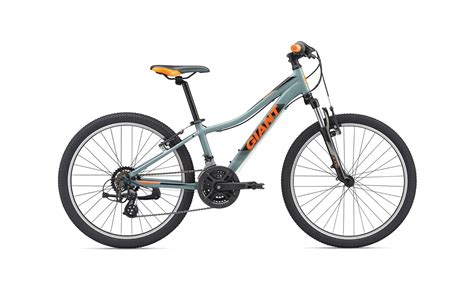 Giant XTC Jr. 24 2019 24 Zoll günstig kaufen | Fahrrad XXL