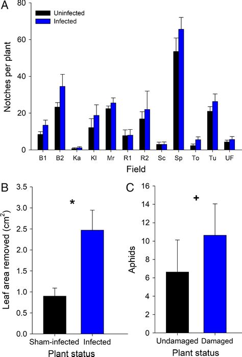 Reciprocal Plant‐mediated Interactions Between A Virus And A Non‐vector