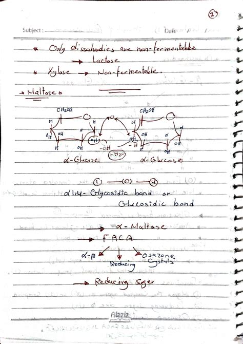 SOLUTION Disaccharide Polysaccharide And Solutions Studypool