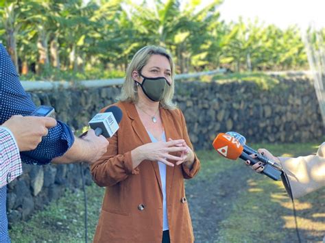 El Gobierno De Canarias Convoca Ayudas Del Posei Para Agricultura