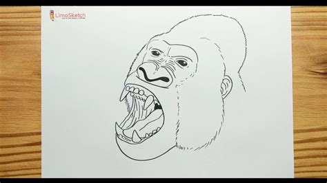 How To Drawing Gorillas Mouth And Head Youtube