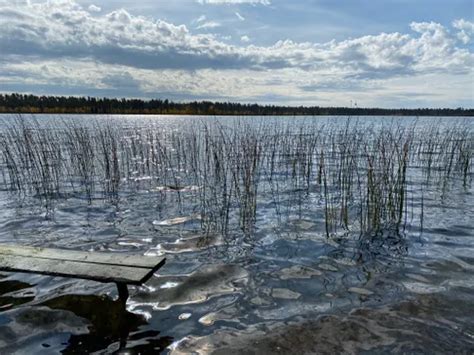 Best Beach Trails in Meadow Lake Provincial Park | AllTrails