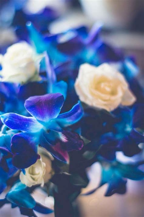 Blue orchids and white roses | Blue orchids, White roses, Orchids