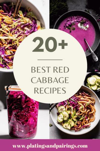 20+ BEST Red Cabbage Recipes (Easy and Healthy!)