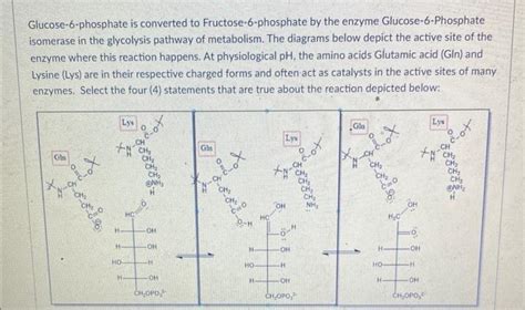 Solved Glucose-6-phosphate is converted to | Chegg.com