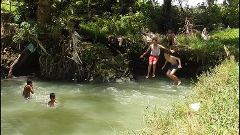 Berenang Di Sungai Yang Airnya Jernih Dan Menyegarkan Youtube