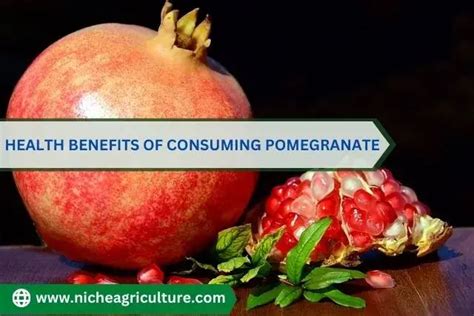 Health Benefits Of Consuming Pomegranate Niche Agriculture