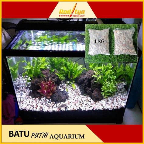 Jual Batu Pancawarna Hiasan Aquarium Kg Batu Putih Hiasan Aquascape