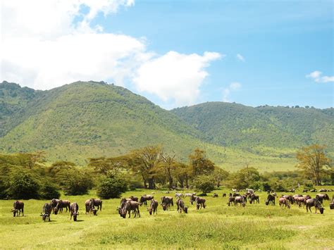 Safari in Arusha National Park | Safari John Tours