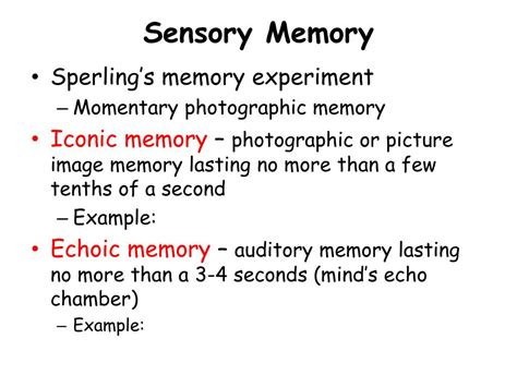 Echoic Memory