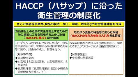 Haccp（ハサップ）に沿った 衛生管理の制度化（『食品衛生法等の一部を改正する法律』に基づく政省令等に関する説明会） Youtube