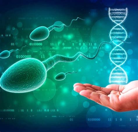 Diagnóstico genético preimplantacional