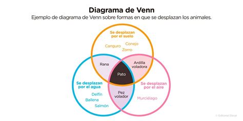 Diagrama De Venn Qu Es C Mo Hacer Uno Y Ejemplos