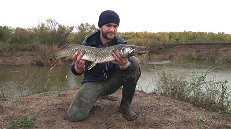 ЩУКА НА ЖИВЦА.Полез в воду за щукой,.р.НУРА #рыбалка #щука # ...