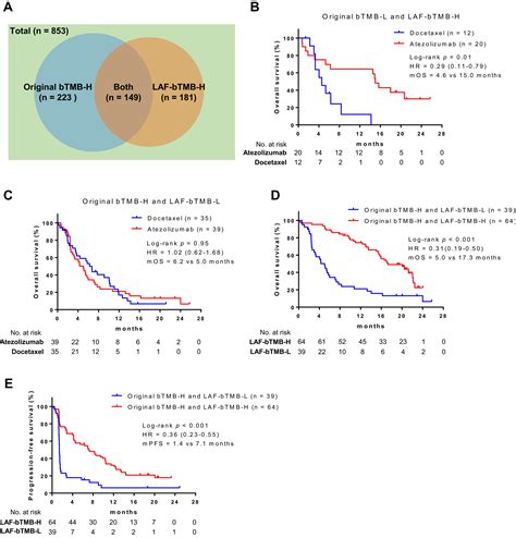 Allele Frequencyadjusted Blood Based Tumor Mutational Burden As A