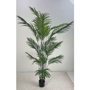 Phoenix Palm Tree M Lifelike And Low Maintenance Elegance