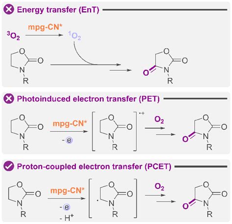 Simplified pathways of possible oxazolidinone oxidation mechanisms ...