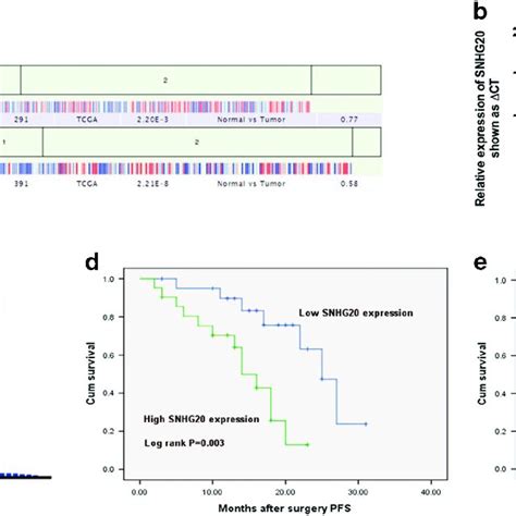 Expression Of Snhg In Nsclc Tissues And Its Clinical Significance